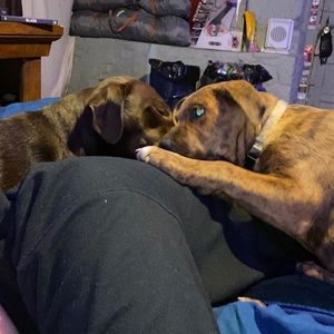 Meet your Posher, Kisha